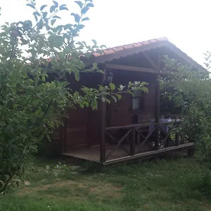 Konukevi Salkim Konak Ve Agac Evler 